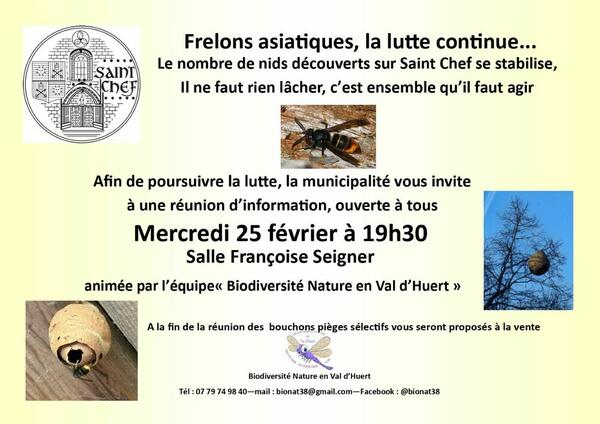 Réunion Frelons Asiatiques Réunion Frelons Asiatiques